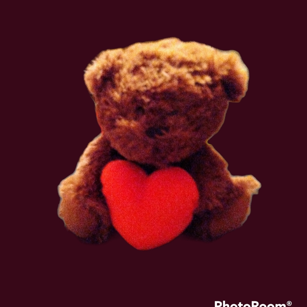Animal Adventures Teddy Bear Holding a Heart